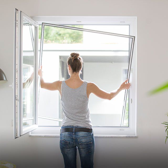 Triple Glazed Window Flyscreen